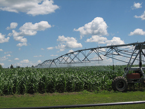 crop irrigation