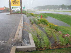 Parking lot stormwater