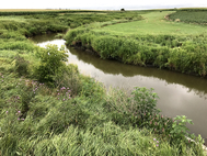 Clean Water Funds help pay for streambank restoration in Buffalo River watershed