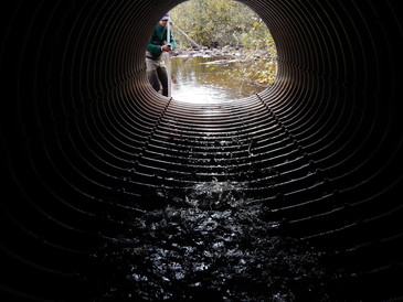 MPCA studies barriers to fish connectivity