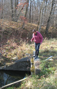 Root River monitoring as part of Field to Stream Partnership