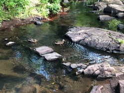 Tischer Creek