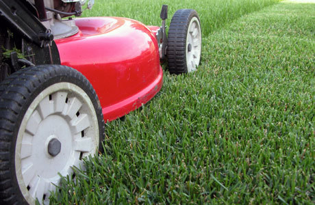 Red mower on green turf