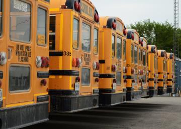 A row of yellow school buses