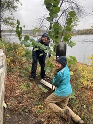 member and MPC executive director planting a tree