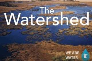 aerial image of wetland 