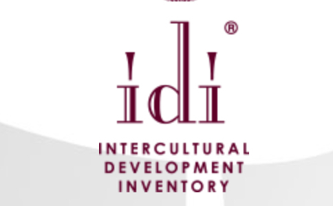 IDI logo