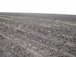 usda fallow field