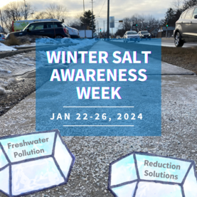 Salt Awareness Week 2024