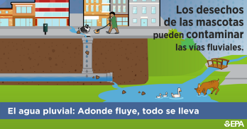 Pet Waste (Spanish)