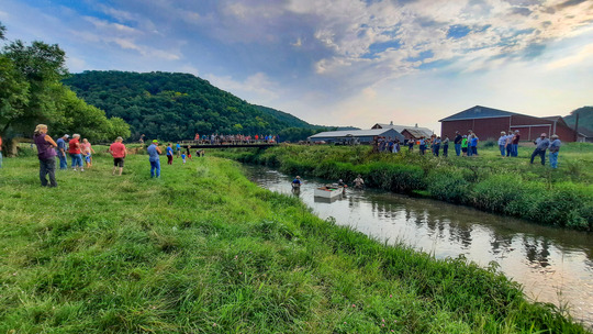 Lake Pepin tributary