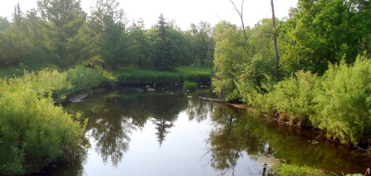 Redeye River Watershed