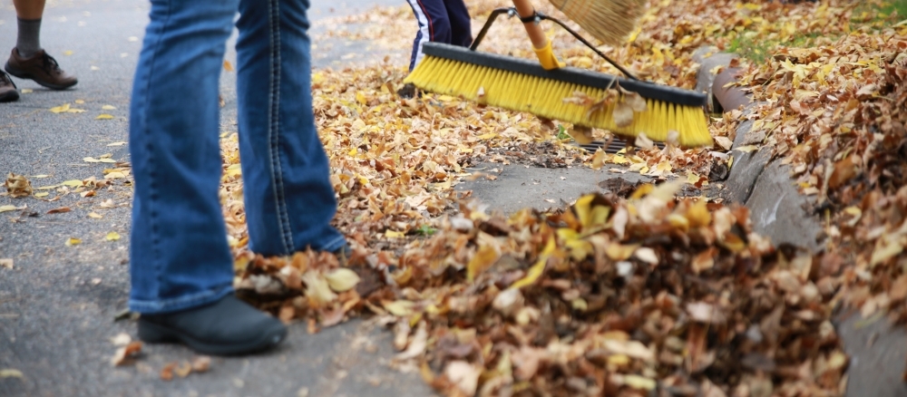 Sweeping leaves in street