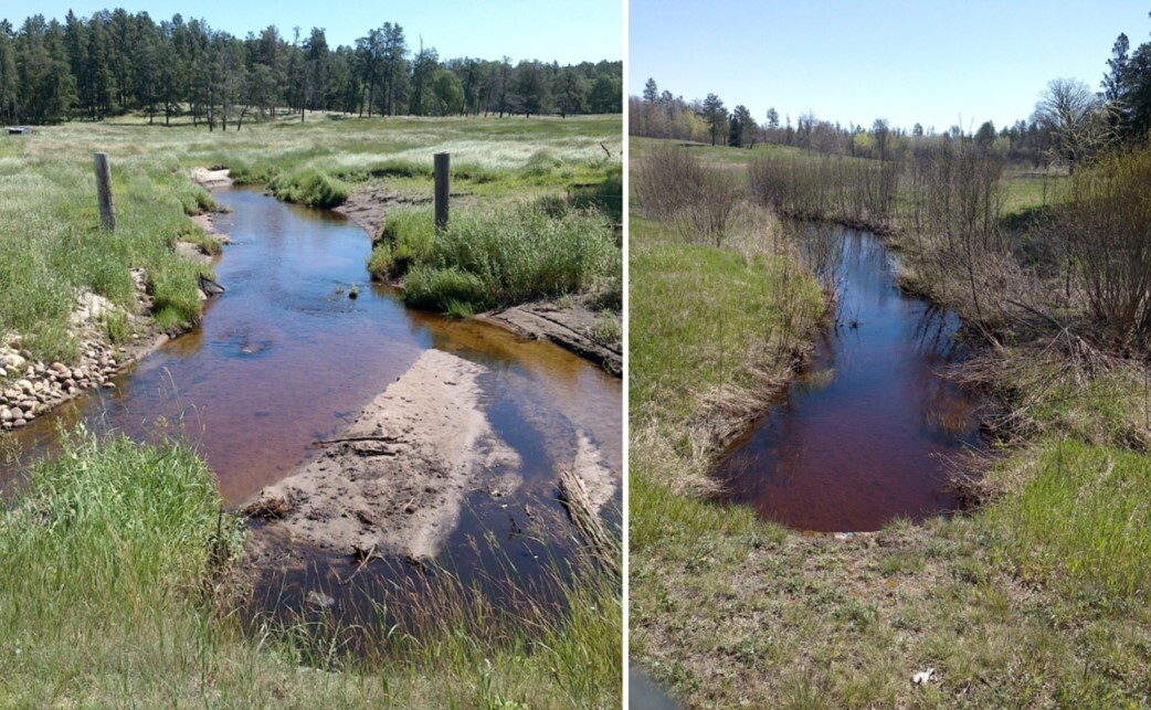 Willow Creek before and after