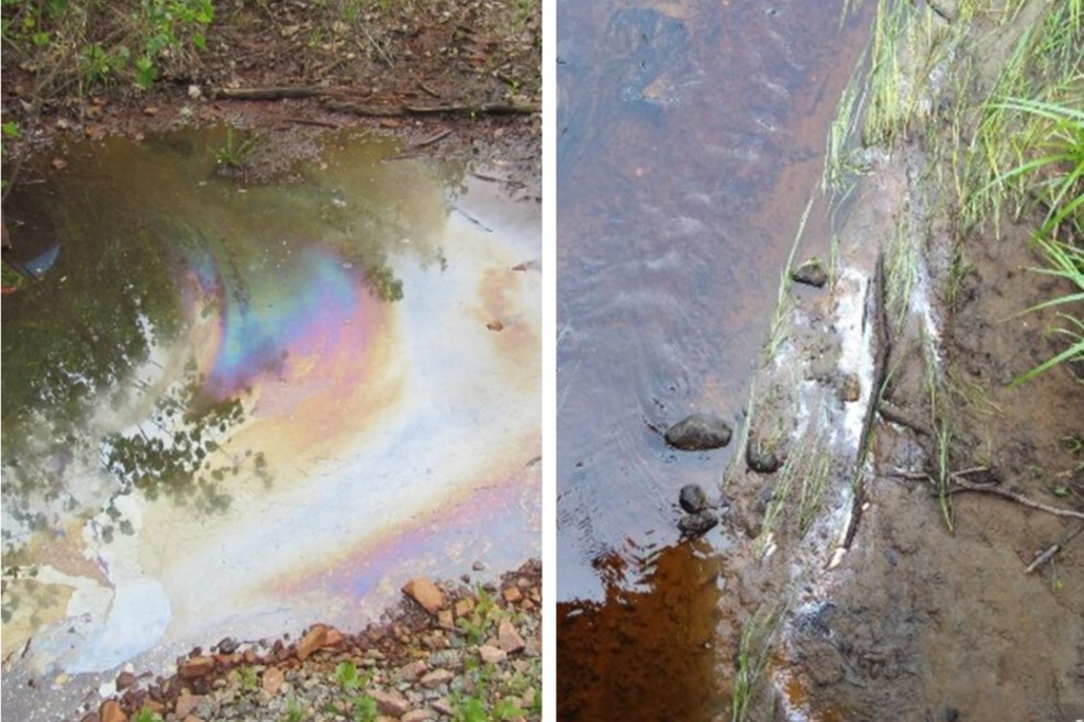 Petroleum sheen compared to natural sheen on water