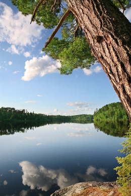 Minnesota Summer