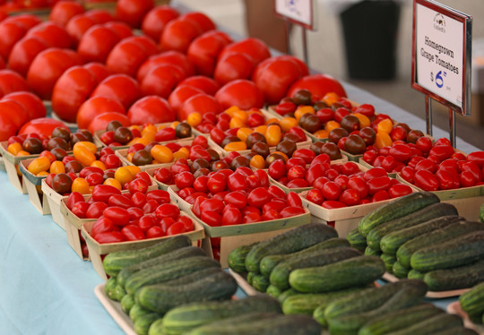 Untiedts Vegetable Farm