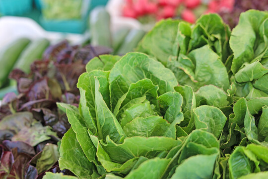 Photo: Svihel Vegetable Farm, Plymouth Farmers Market Vendor