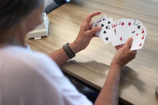 Bridge player pic