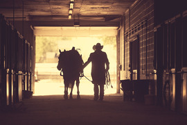 Cowboy walking horse in barn 