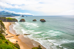 Pacific northwest coast oceanview with flowers along shore