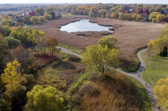 Aerial photo of Turtle Lake Park in Plymouth