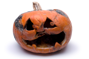 decaying pumpkin