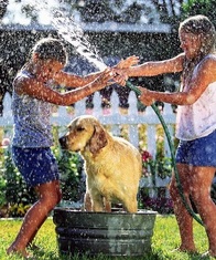 Kids splashing with a puppy