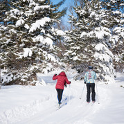 Two individuals cross-country skiing