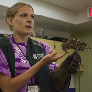 Tamarack Nature Center naturalist holding owl