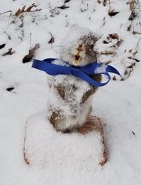 taxidermized squirrel in snow with a bow