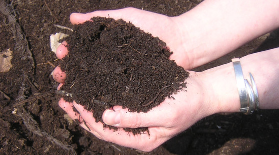Compost in Hand