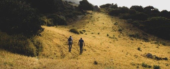 People walking on a hill