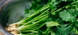 Cilantro in a stainless steel bowl