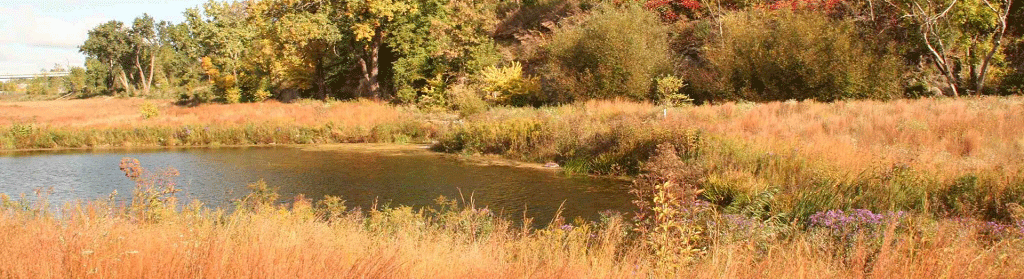 Bruce Vento sanctuary