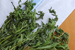 Wilted leafy greens