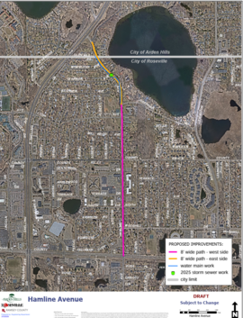 Hamline Ave Project