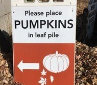 Pumpkin drop off