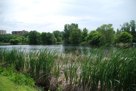 Richfield Lake