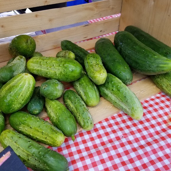 Cucumbers Los pepinos