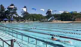 swim meet at pool