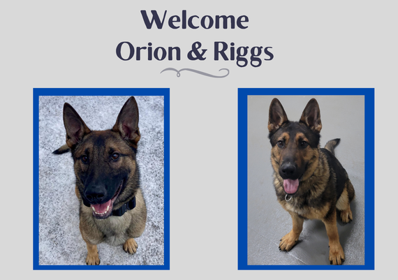 Orion and Riggs
