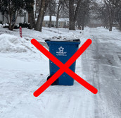snow emergency garbage can no