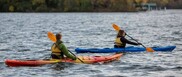 paddleshare