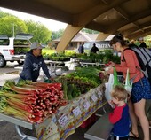 farmers market2