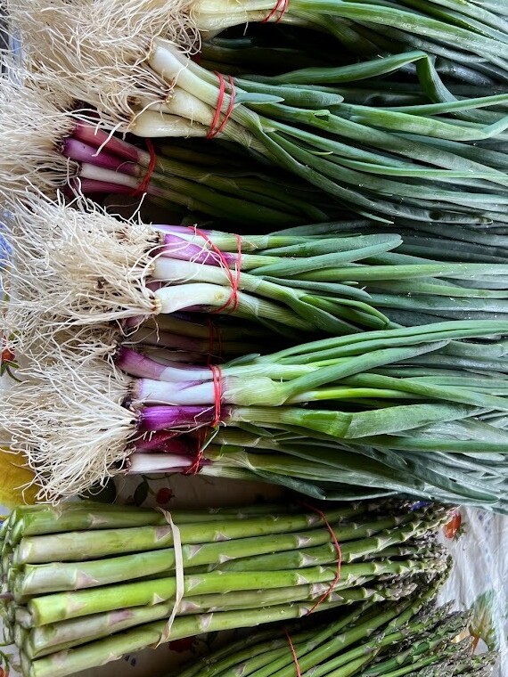 green onions and asparagus