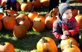 great pumpkin giveaway