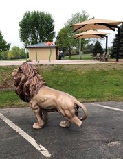 Lions Park splash pad vandalism