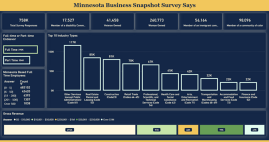 Minnesota Business Snapshot Reports - Survey Says
