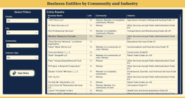 Minnesota Business Snapshot Report - Community and Industry search